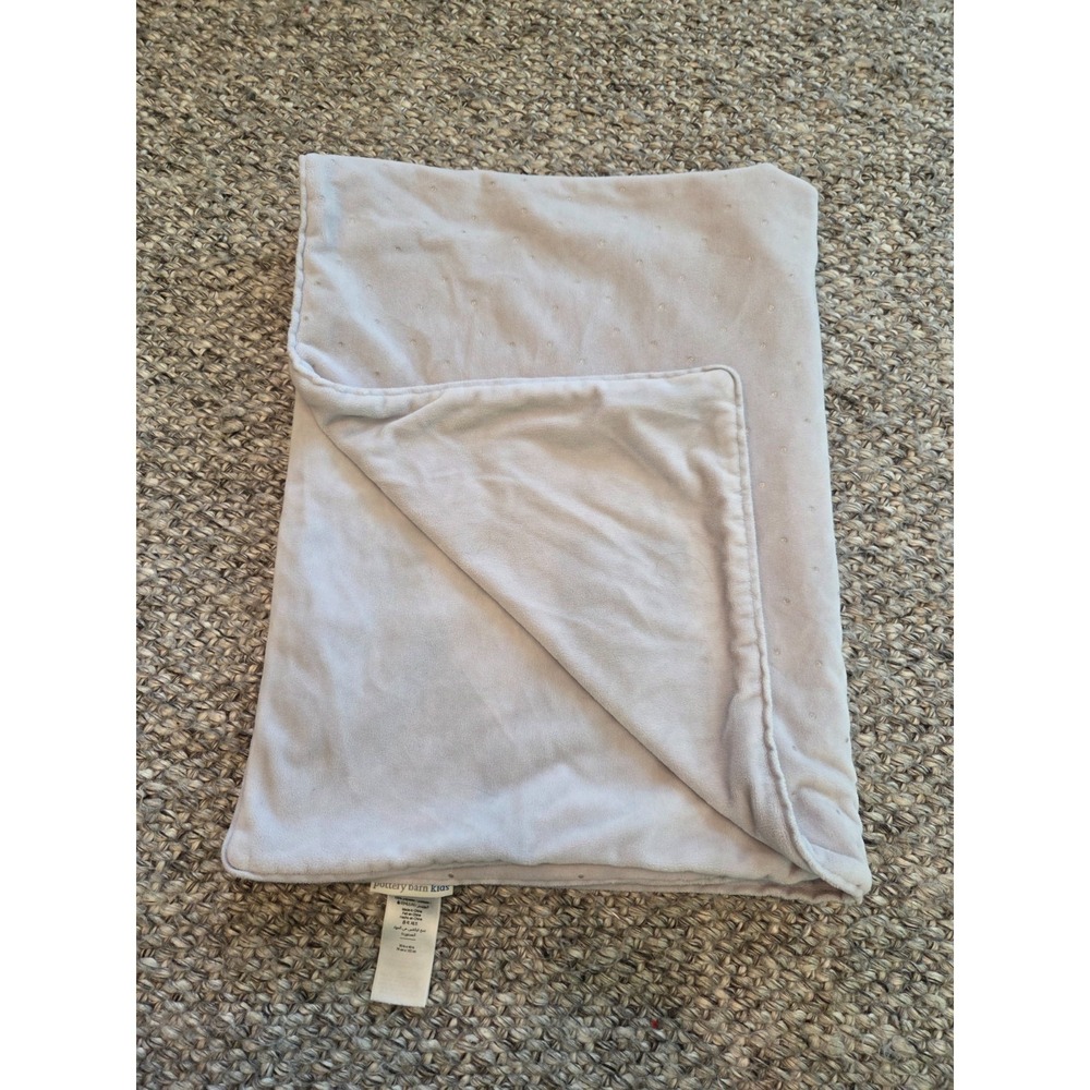 Pottery Barn Kids Purple Gold Chamois Baby Blanket Stroller Plush Velour 30x40 - Picture 5 of 5